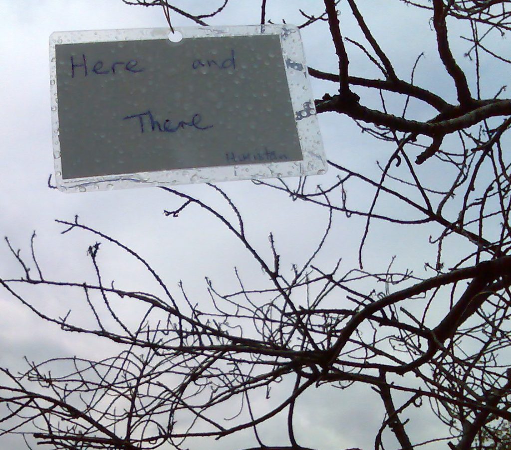 Here and there. A refugee poem flutters on the branch of a dead tree 