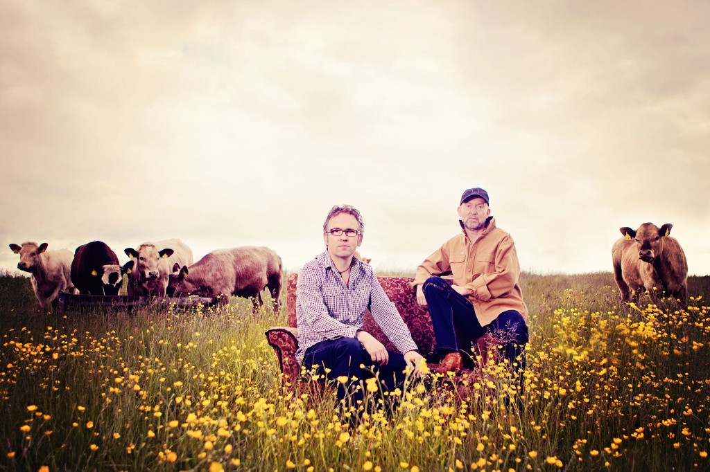 Leo and Anto on a sofa in a field full of buttercups and (er) cattle