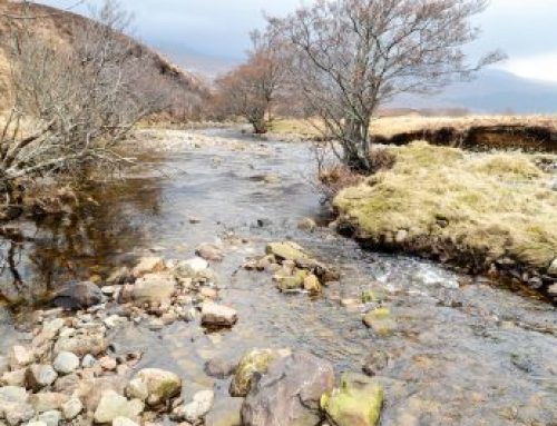 Abi’s accidental mountain bothy ‘gig’ finds unexpected fans