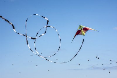 A flying kite among birds in a clear blue sky: Jan Mosiman CC BY-ND 2.0